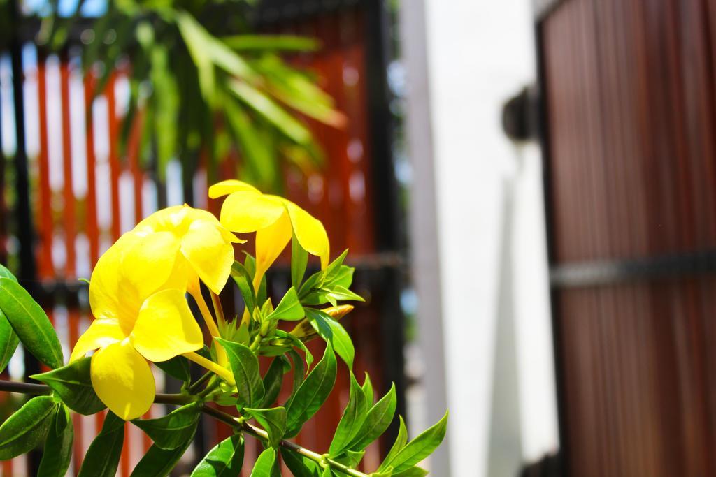 Surasa Beach Resort Weligama Kültér fotó